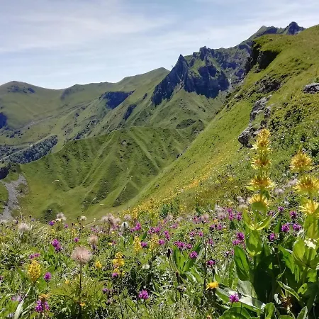T2 Les Capucines Avec Balcon Et Wifi Proche De L'hyper Centre Dore Apartamento *