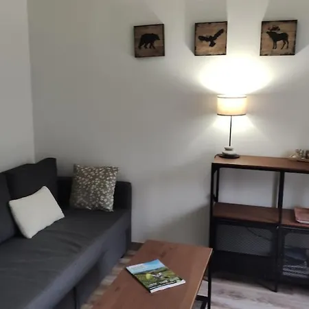 Apartamento T2 Les Capucines Avec Balcon Et Wifi Proche De L'hyper Centre Dore Mont-Dore