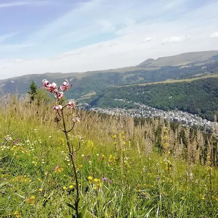 Apartamento T2 Les Capucines Avec Balcon Et Wifi Proche De L'hyper Centre Dore Mont-Dore