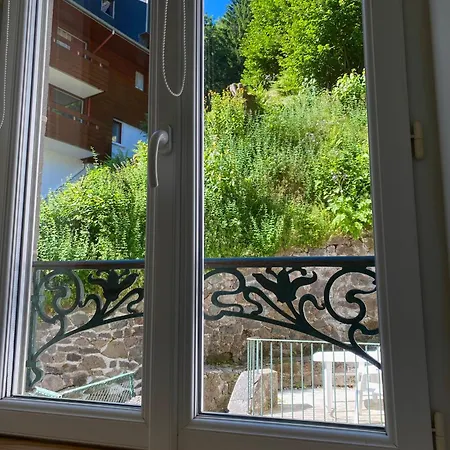アパート T2 Les Capucines Avec Balcon Et Wifi Proche De L'hyper Centre Dore