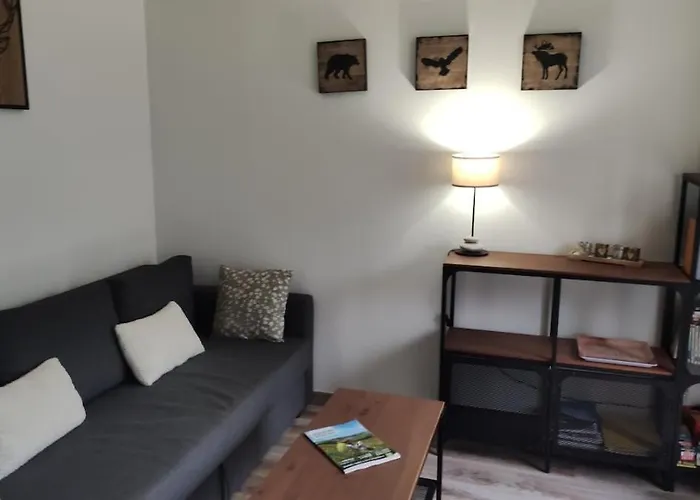 Lejlighed T2 Les Capucines Avec Balcon Et Wifi Proche De L'hyper Centre Dore Le Mont-Dore