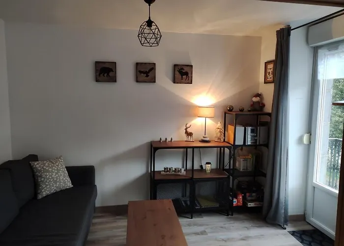 Apartamento T2 Les Capucines Avec Balcon Et Wifi Proche De L'hyper Centre Dore *