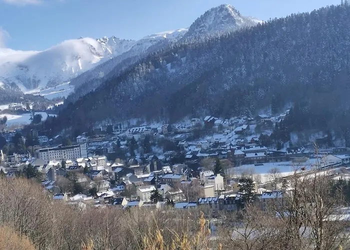Lejlighed T2 Les Capucines Avec Balcon Et Wifi Proche De L'hyper Centre Dore *