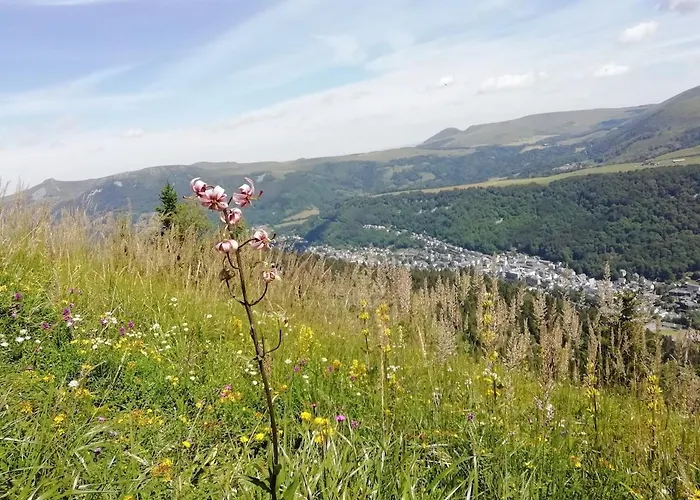Apartamento T2 Les Capucines Avec Balcon Et Wifi Proche De L'hyper Centre Dore Mont-Dore