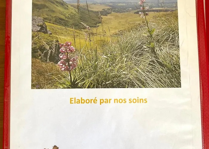 T2 Les Capucines Avec Balcon Et Wifi Proche De L'hyper Centre Dore * Mont-Dore