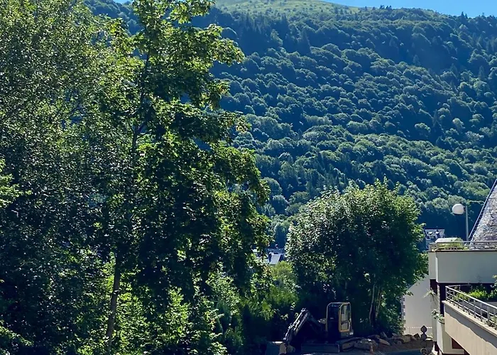 Lejlighed T2 Les Capucines Avec Balcon Et Wifi Proche De L'hyper Centre Dore