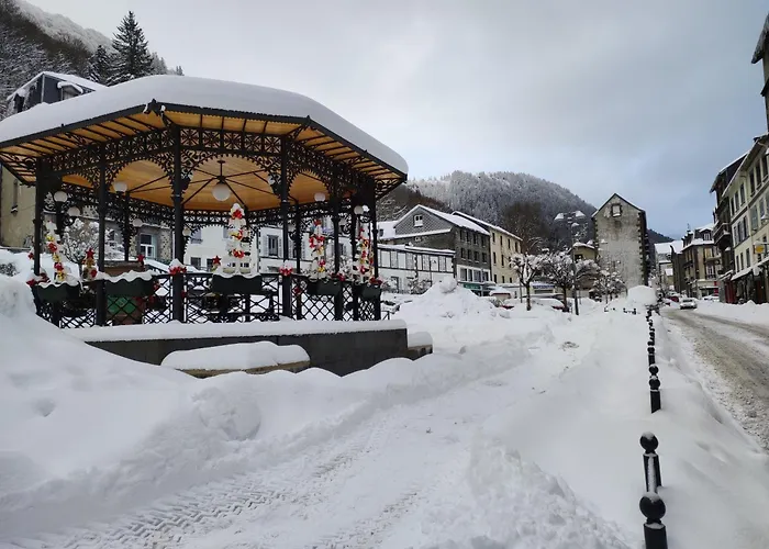 Apartamento T2 Les Capucines Avec Balcon Et Wifi Proche De L'hyper Centre Dore