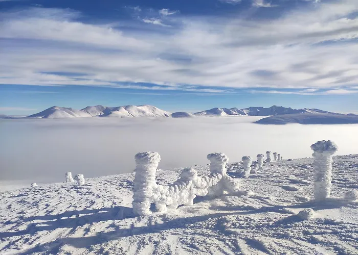 T2 Les Capucines Avec Balcon Et Wifi Proche De L'hyper Centre Dore * Mont-Dore